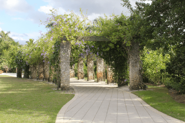 botanical gardens walkway